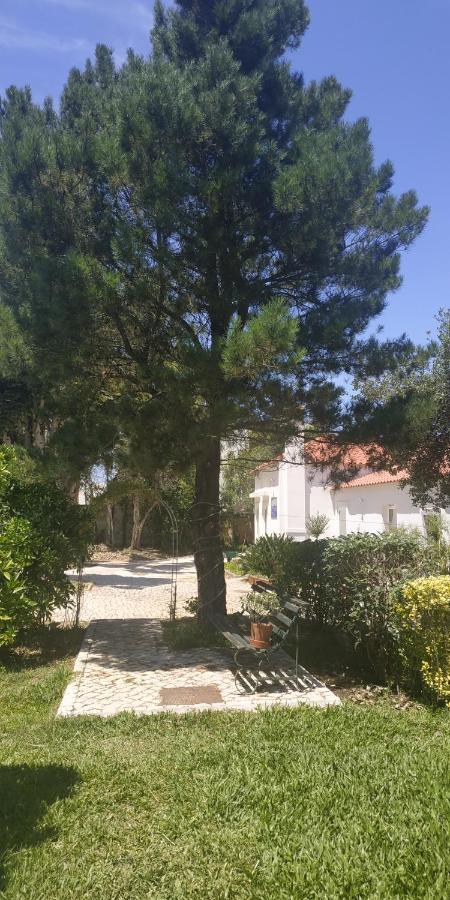 Casa De Arcos Vendégház Anadia Kültér fotó