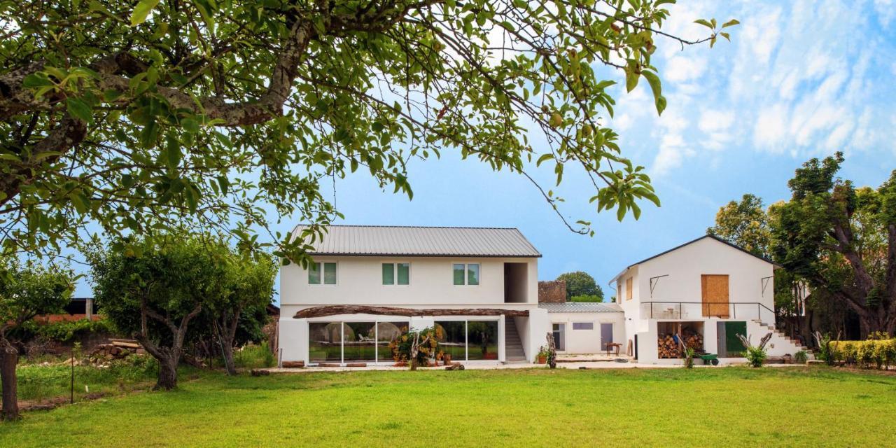 Casa De Arcos Vendégház Anadia Kültér fotó
